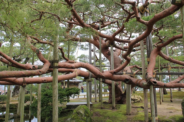 a0123003_11463053.jpg
