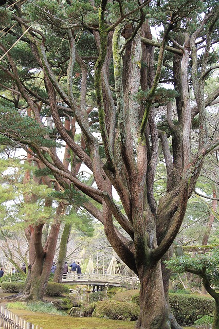 a0123003_11501710.jpg