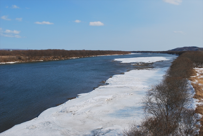d0051707_19433439.jpg