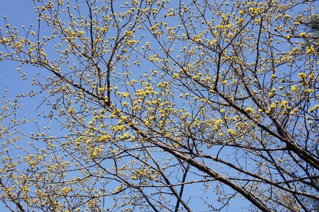 b0112909_20154048.jpg