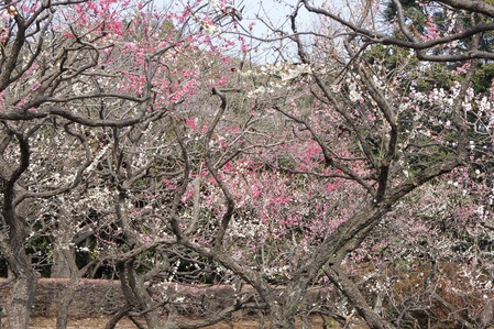 b0112909_20271793.jpg