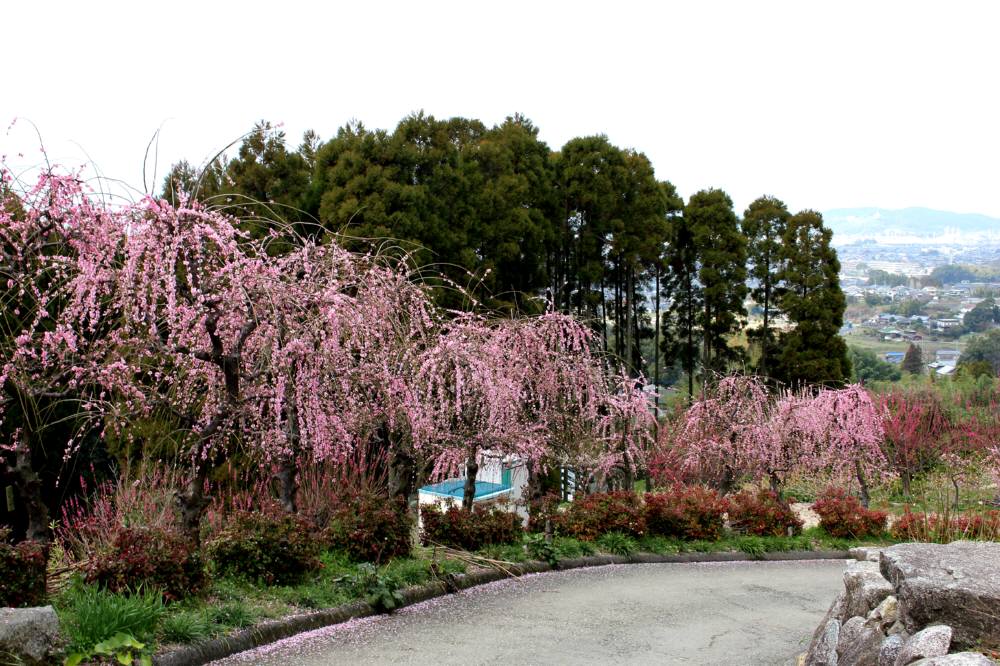 f0212511_01538.jpg