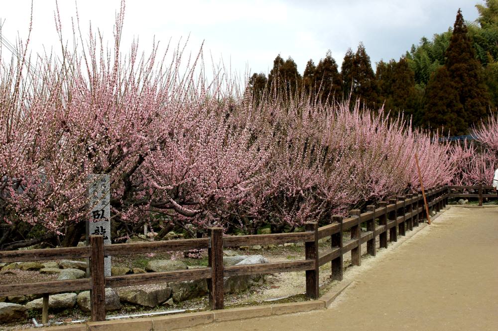 f0212511_021763.jpg
