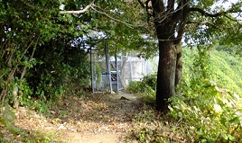 e0125014_11174876.jpg