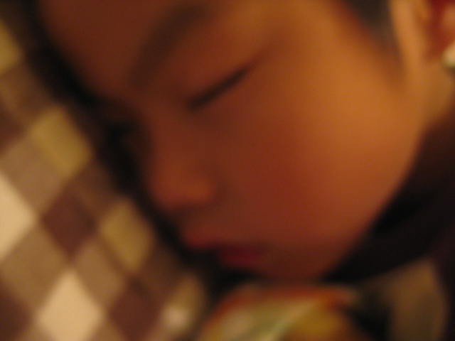 c0085916_162242.jpg