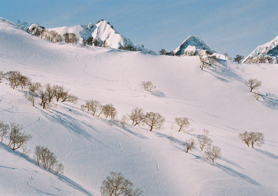 a0113718_14184497.jpg