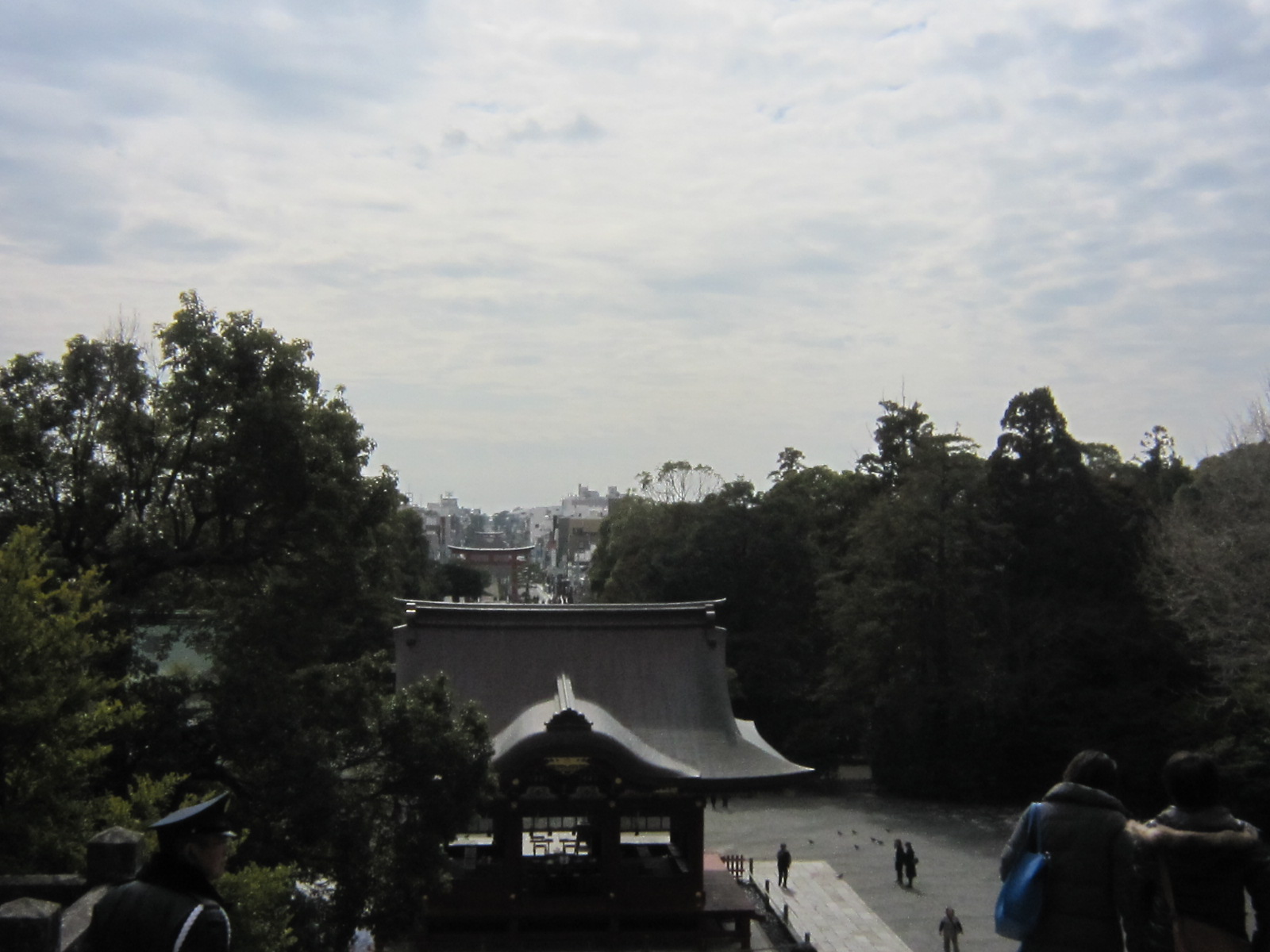 d0162225_016887.jpg