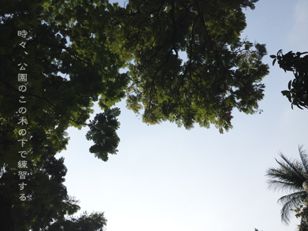 d0042827_1427254.jpg