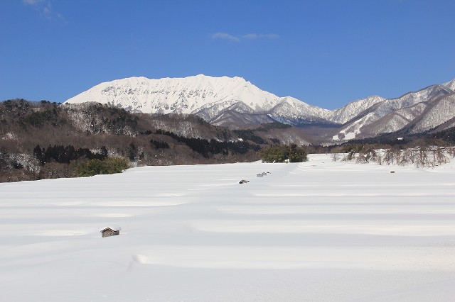 ２月２２日　雪の大山_a0045932_19364654.jpg