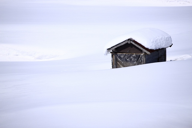 ２月２２日　雪の大山_a0045932_19412572.jpg