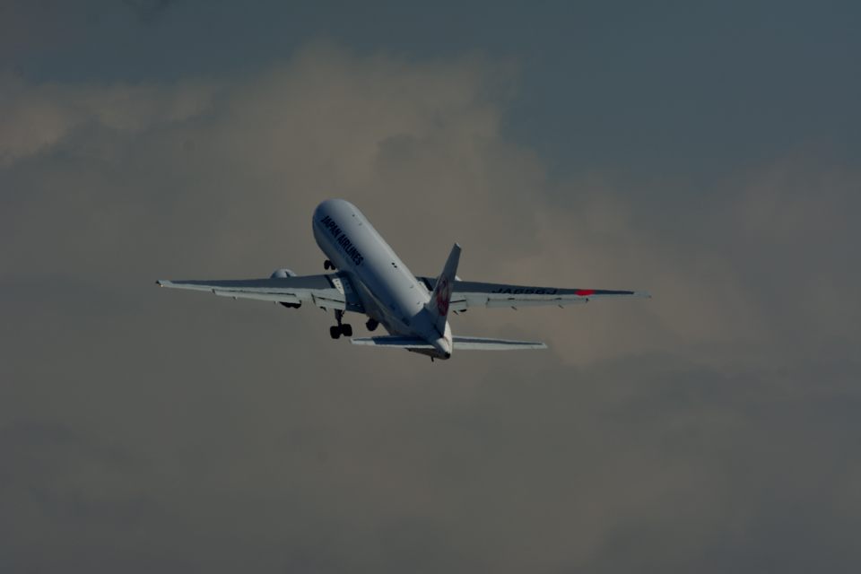 d0172537_21394415.jpg