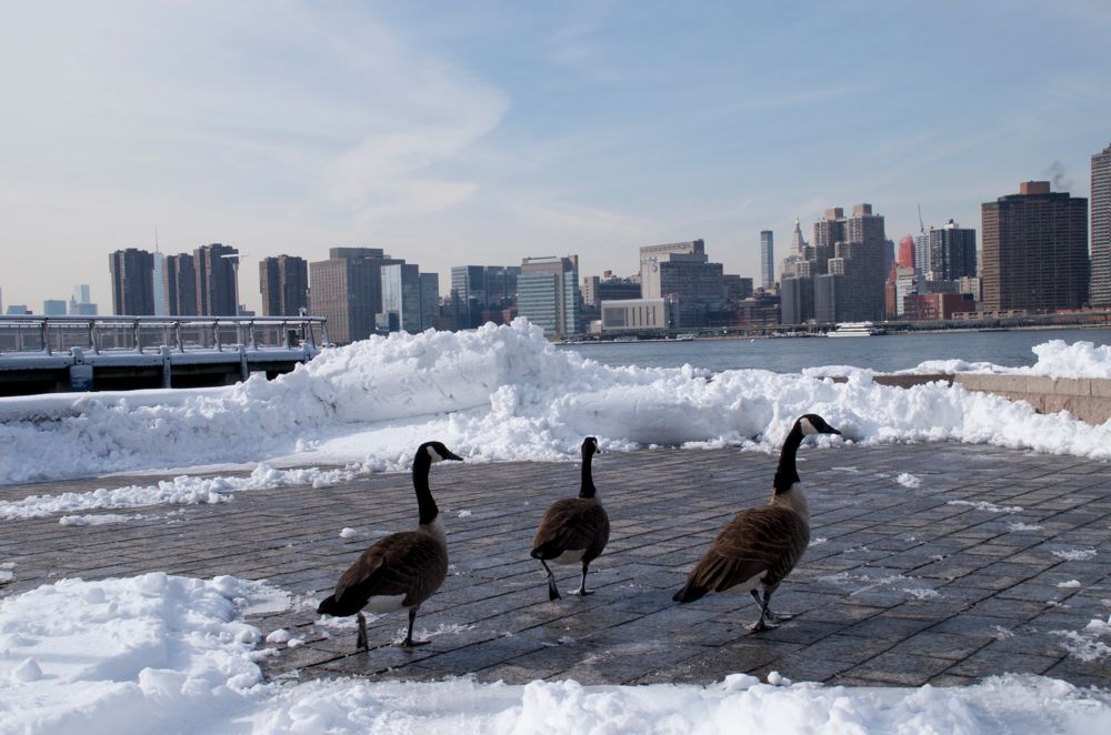 雪のガントリーパーク　３　Gantry PLaza State Park_a0215638_185597.jpg