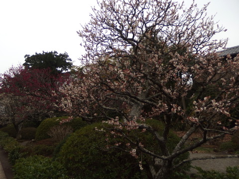 c0097838_13522770.jpg