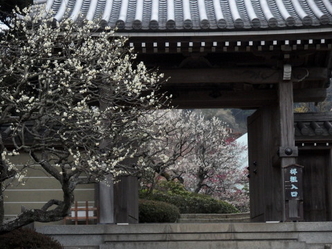 c0097838_1352561.jpg