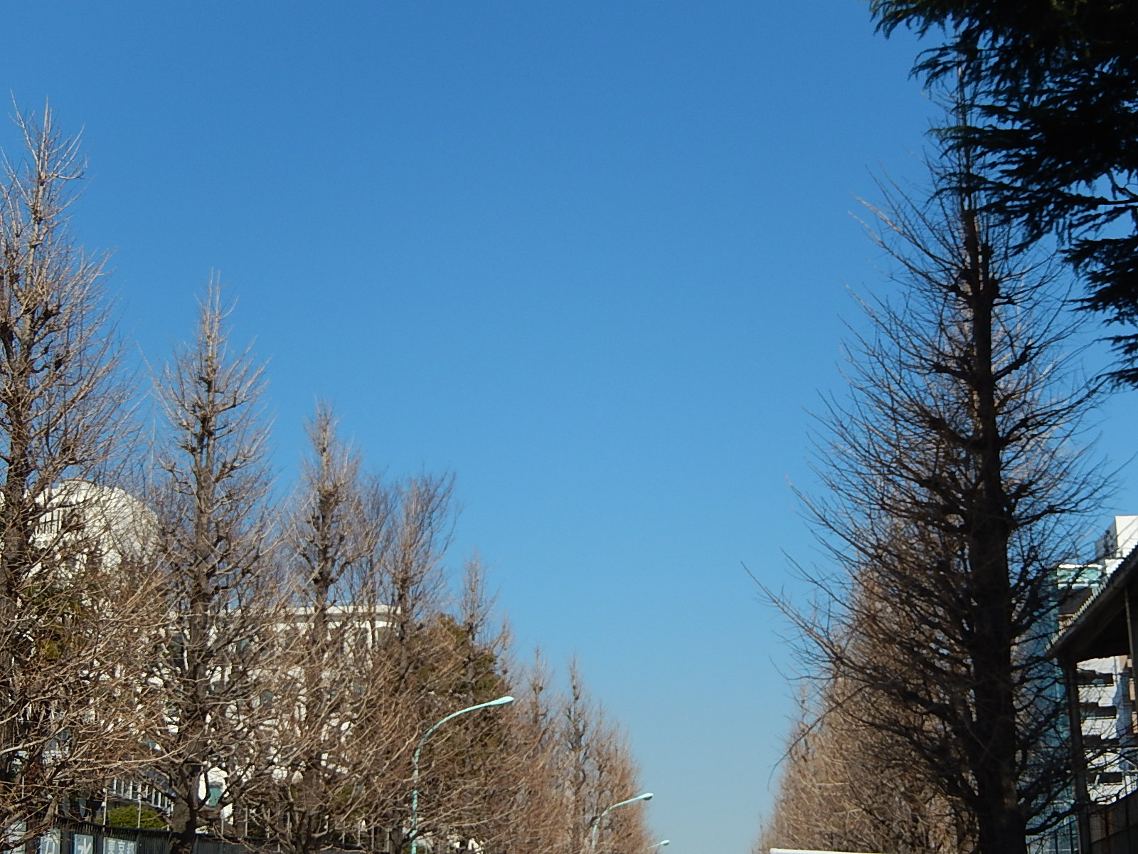 3月4日　渋谷　原宿　の自転車屋　FLAME bike前です!_e0188759_12375943.jpg