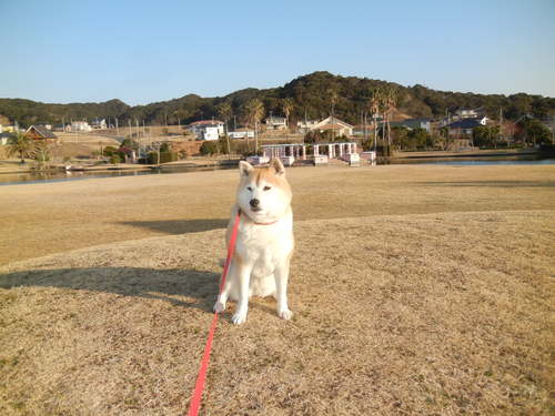’14,3,4(火)久しぶりに”ちらし寿司”!_f0060461_11292392.jpg