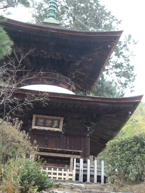 　そうだ京都、行こう。　（常寂光寺）_e0278968_15175853.jpg