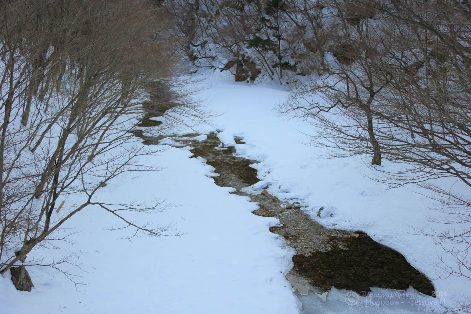 那須塩原雪景色2014_e0197769_2294191.jpg