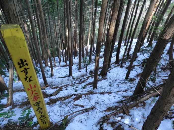 b0185573_16351346.jpg