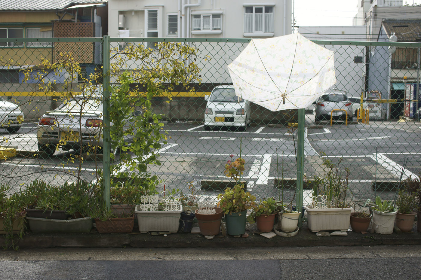 和歌山の傘。_d0286980_044960.jpg