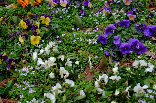 c0046587_23421024.jpg
