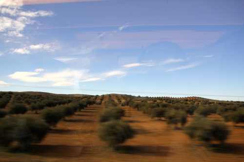 b0142688_8493710.jpg
