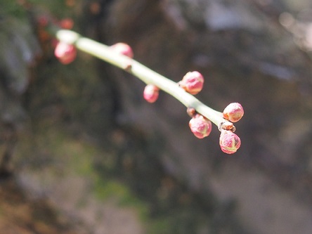 ご無沙汰です。_a0045293_13214098.jpg
