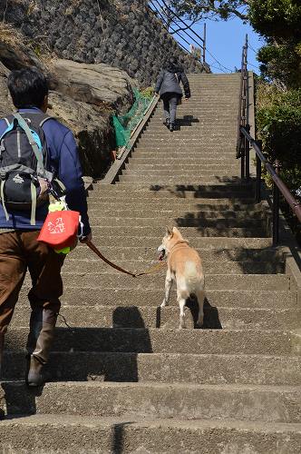 房総①:鋸山ロープウェー_c0124100_1283171.jpg