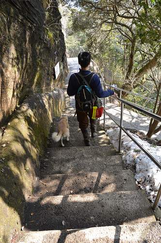 房総①:鋸山ロープウェー_c0124100_1284442.jpg
