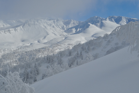 c0242406_114148.jpg