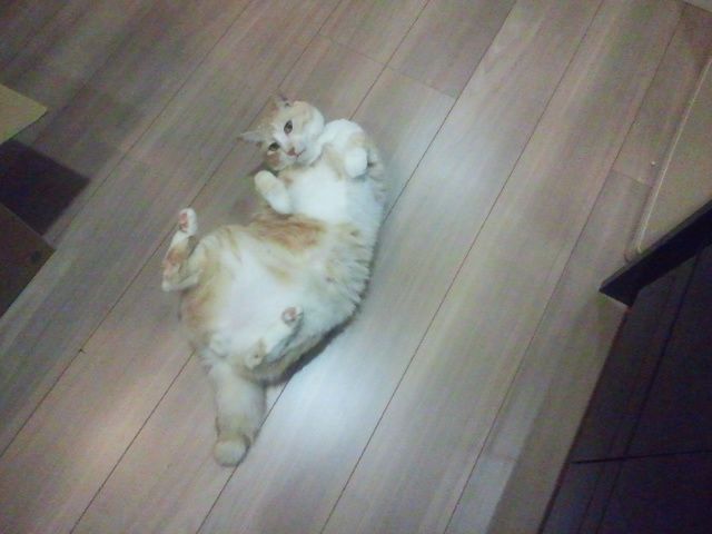 e0144012_20135546.jpg