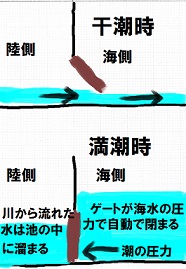 e0125014_1383763.jpg
