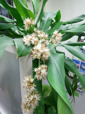 f0217723_217501.jpg