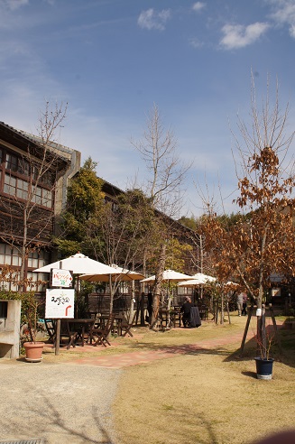 スローフードバイキング ~農家レストラン みかん畑(和歌山・田辺)~_c0235725_20591548.jpg