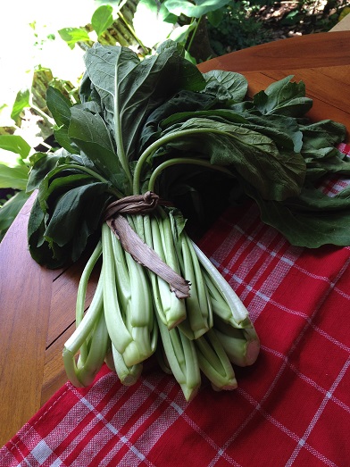 本日我が家に届いたもの 青菜と新作ソンケット_a0120328_21362724.jpg