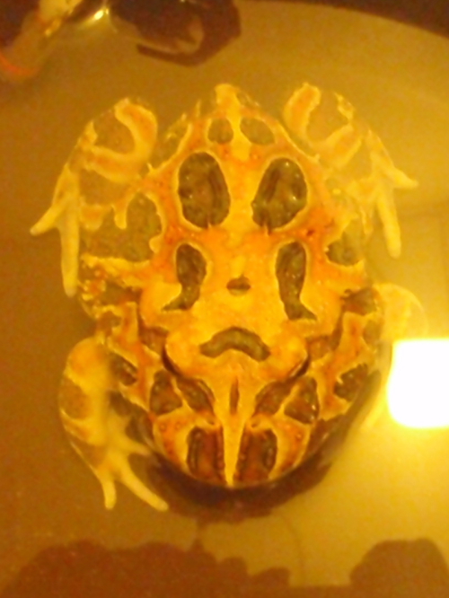 c0034029_1195927.jpg