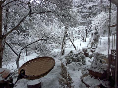 雪は降る～♪　重いタイプの～♪_d0127634_10444523.jpg