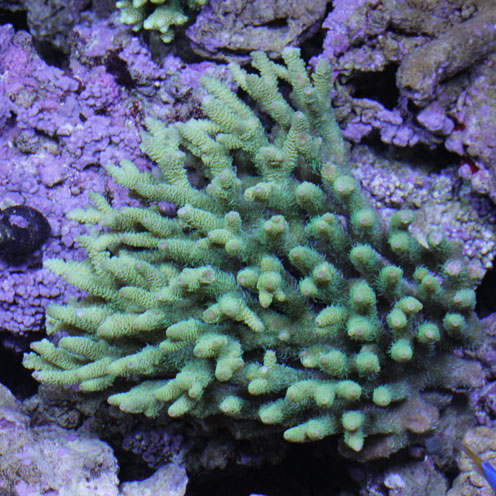 d0221436_21454955.jpg