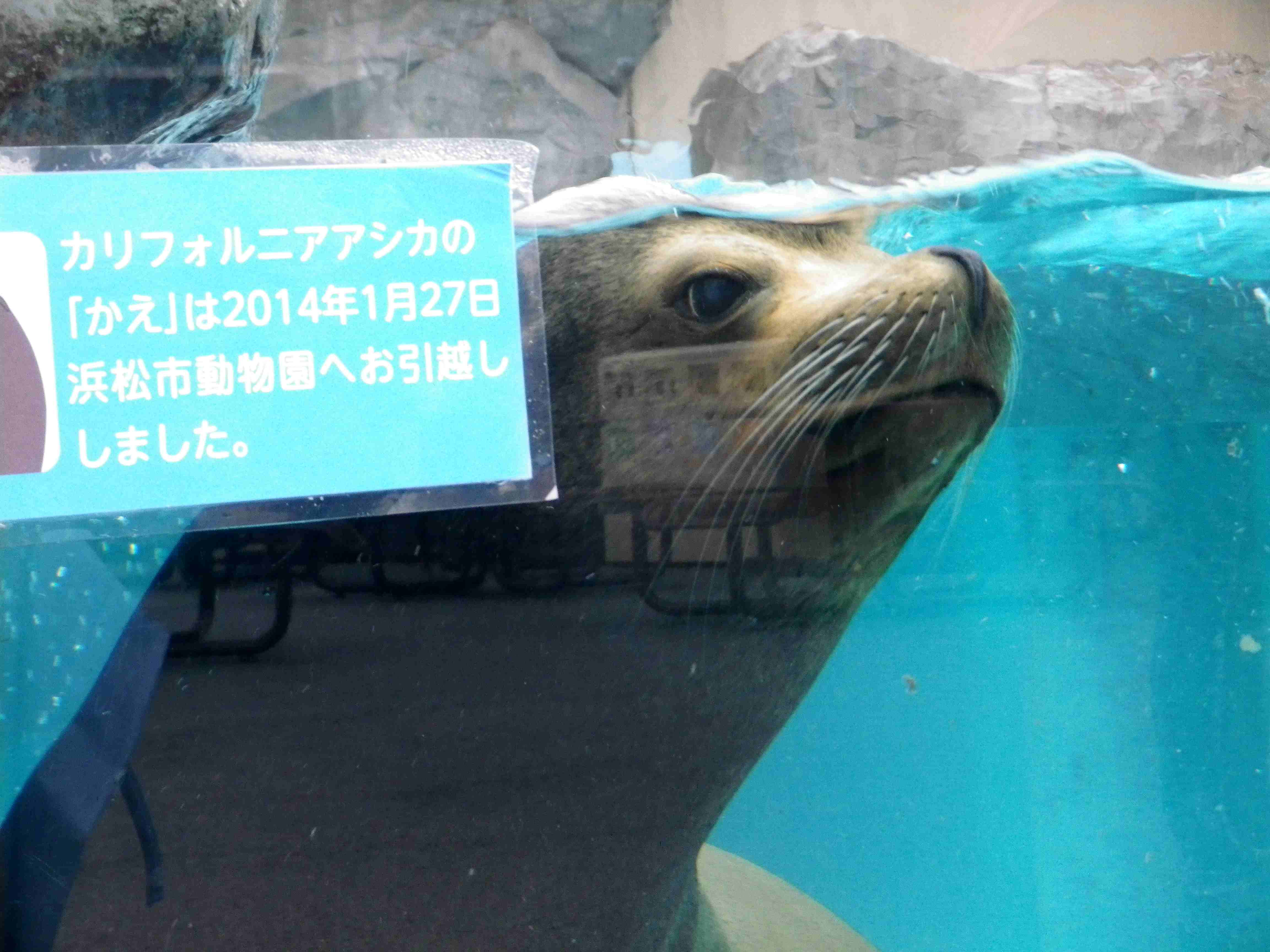 東京へ家族旅行 3月2日編_d0254540_1821983.jpg