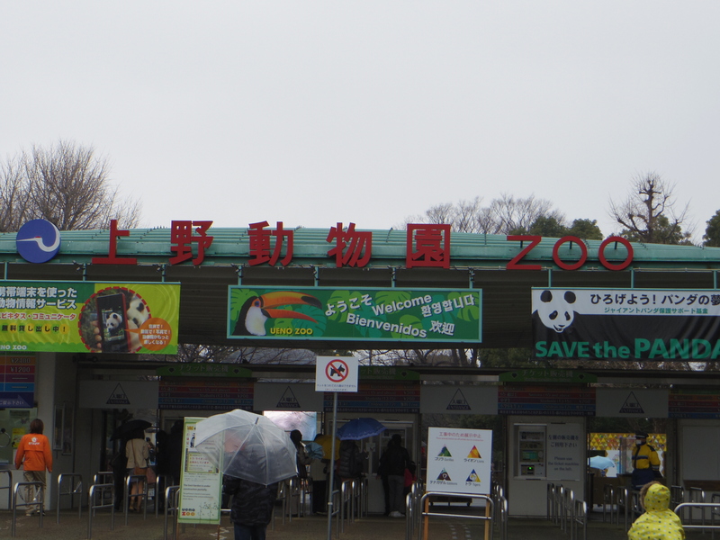東京へ家族旅行 3月2日編_d0254540_1844980.jpg
