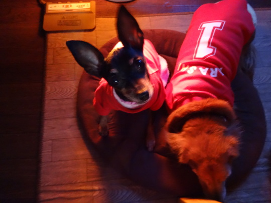 c0323143_17141565.jpg