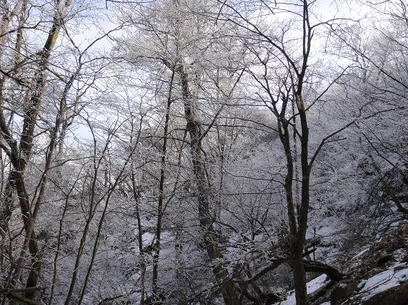 e0164643_1555111.jpg