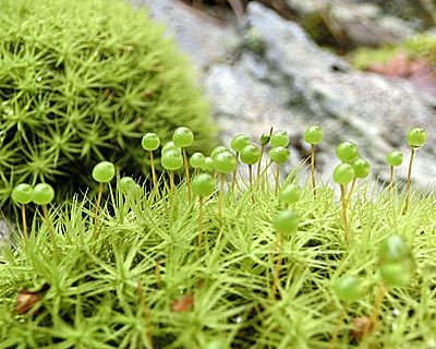 e0035757_1881520.jpg