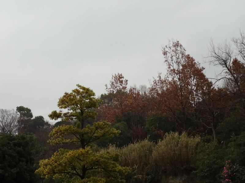 c0108460_21323283.jpg