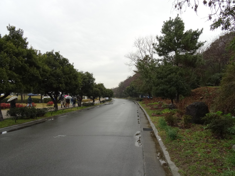 c0108460_21361430.jpg