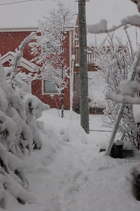 c0280261_1892769.jpg