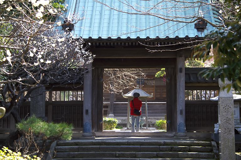 藤沢　常立寺（３月４日）_c0057265_3164914.jpg