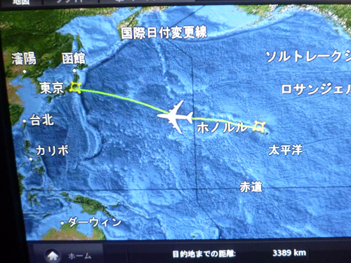 CHINA AIRLINES ホノルル→成田便の機内食_c0152767_14262486.jpg