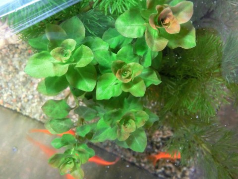 e0045768_2215518.jpg