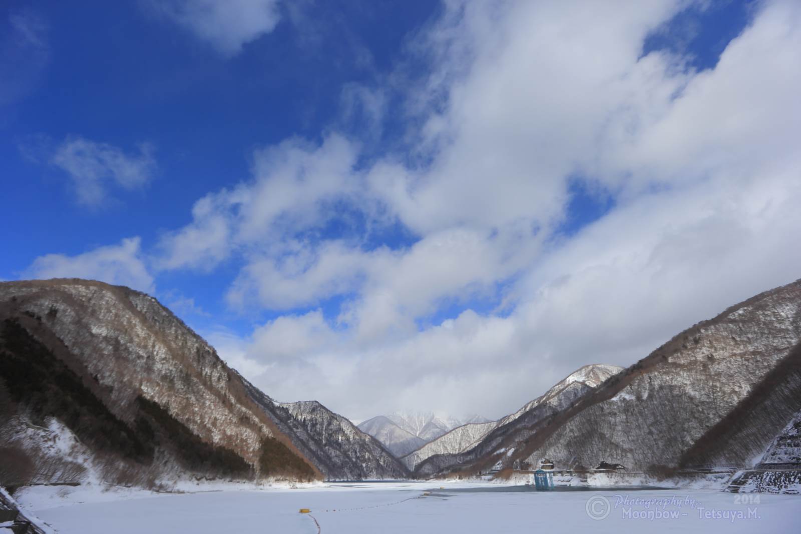 桜島 npo